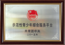 荣誉10